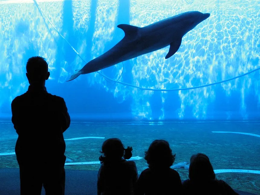 Aquarium de Gênes